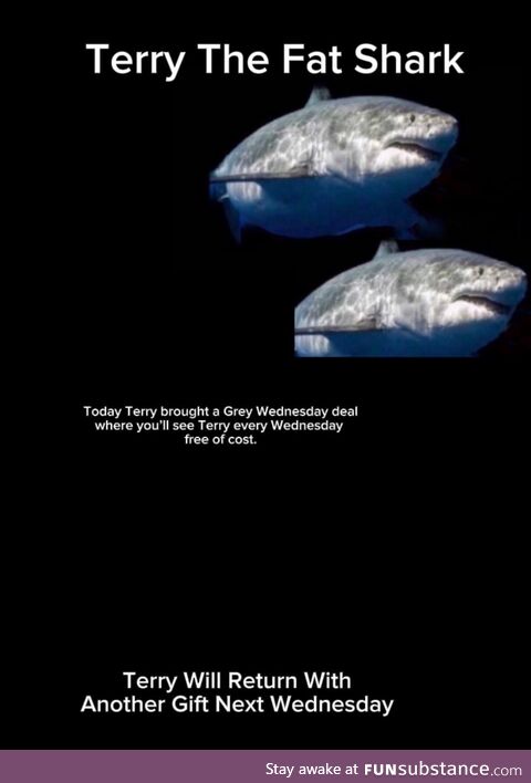 2 Terrys for the Price of 1