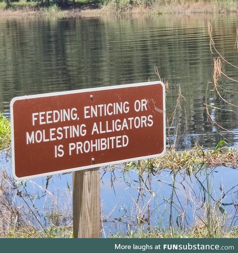 Florida Man is getting braver everyday.