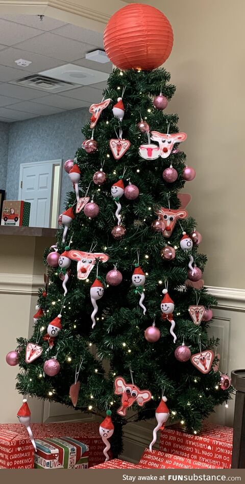 The Christmas tree at my OBGYNs office…