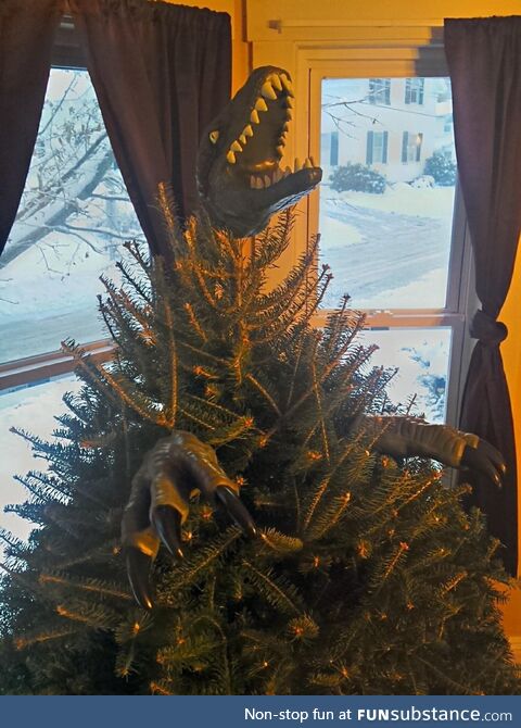 A few years ago, my husband and I ran out of time to decorate our tree. A quick look in