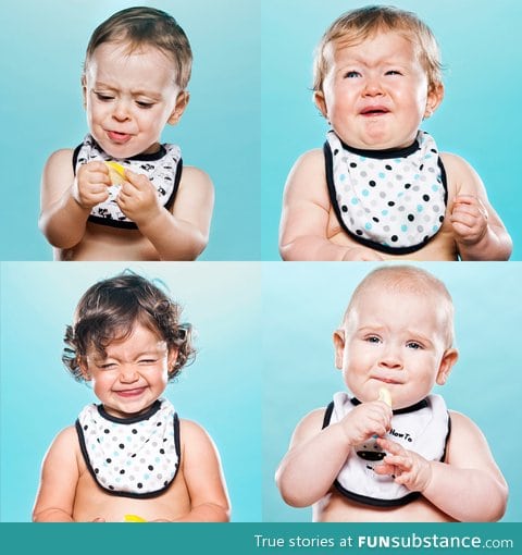 Photographer gets toddlers to suck on lemons then photographs their reactions