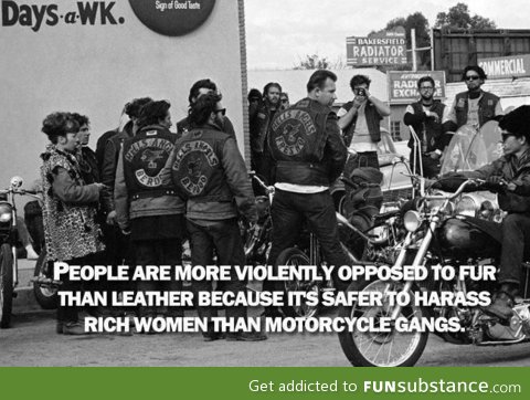 Say no to leather