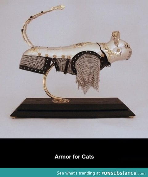 Armored cat