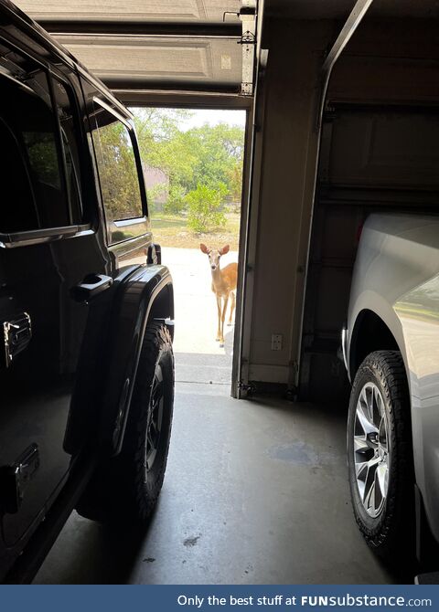 [OC] Hello, got any of that corn?