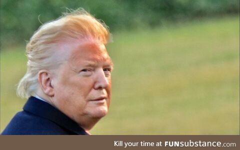 If "Just Stop Oil" went after politicians instead of inanimate objects