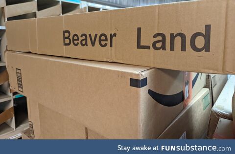 One ticket to Beaver Land please