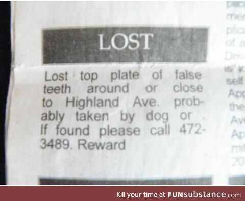 Breaking news - Dog steals false teeth