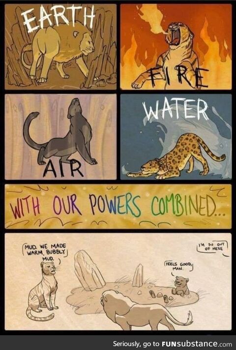 Skillful calm playful