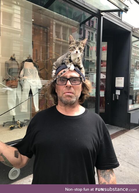 Hat made of a cat