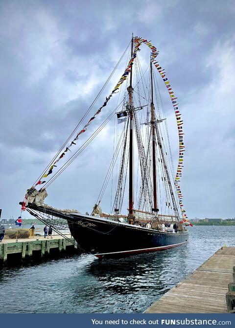 Bluenose 2 docked in Halifax today. In 1938, she was the fastest sailing ship in the