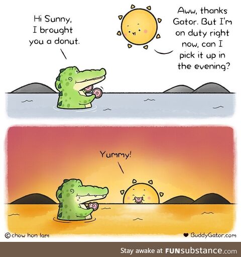 Buddy gator - donut for sunny