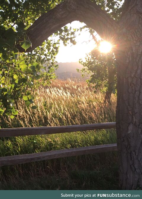 Badlands national park