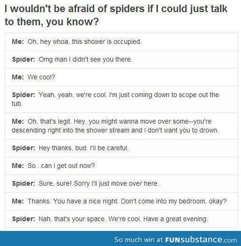 If you could talk to spiders