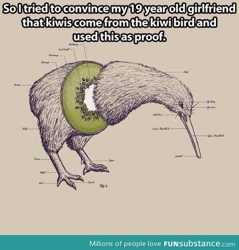 The truth about kiwis