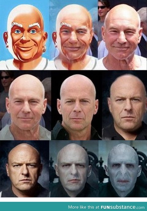 Evolution of bald