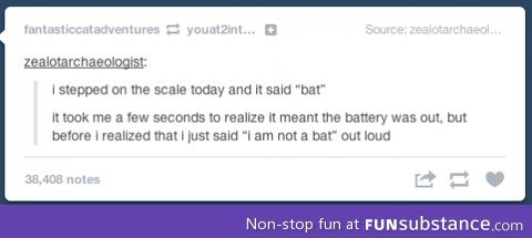 Bat