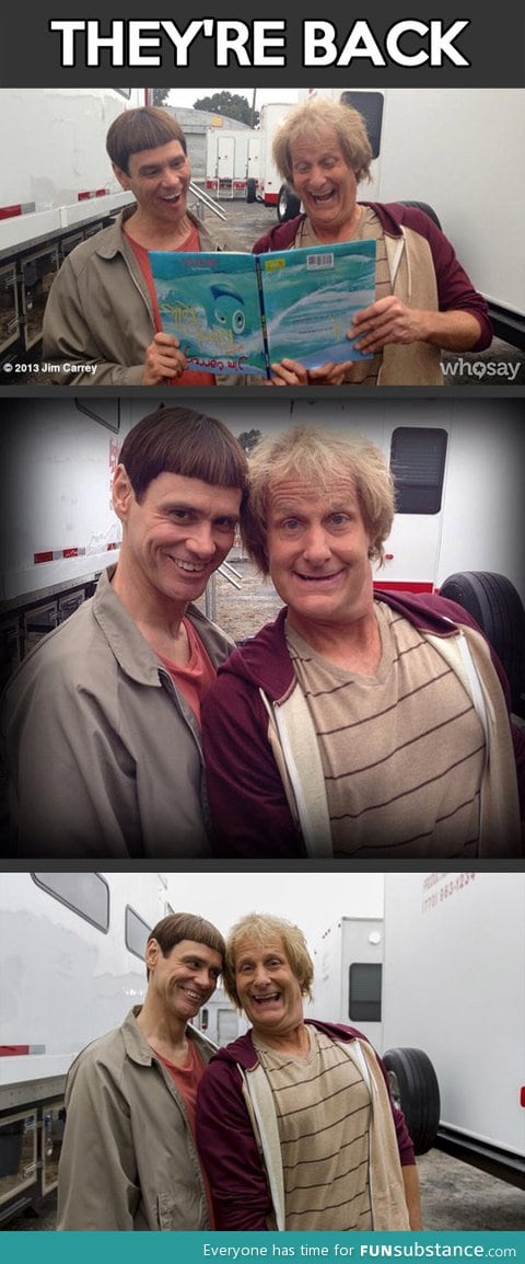 Jim carrey and jeff daniels together again