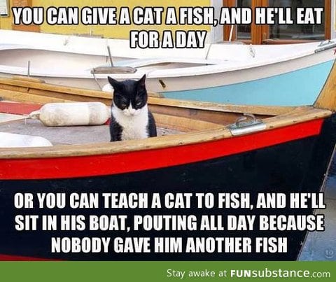 Give a cat a fish