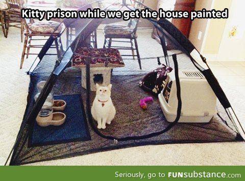 Kitty prison