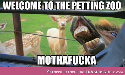 Petting zoo