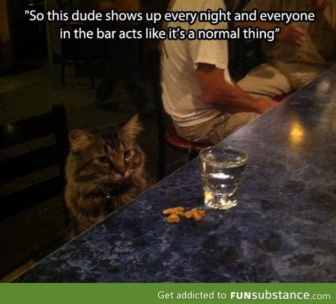 A bar's regular visitor