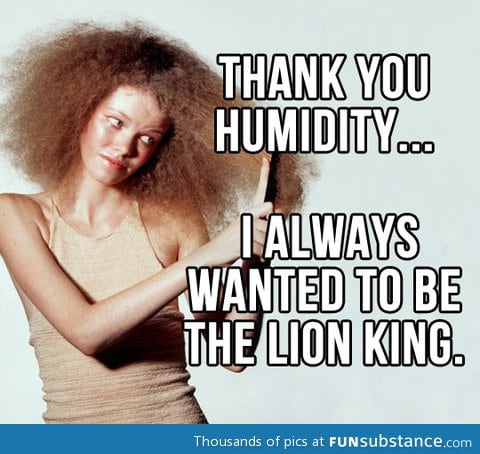 Thank you humidity