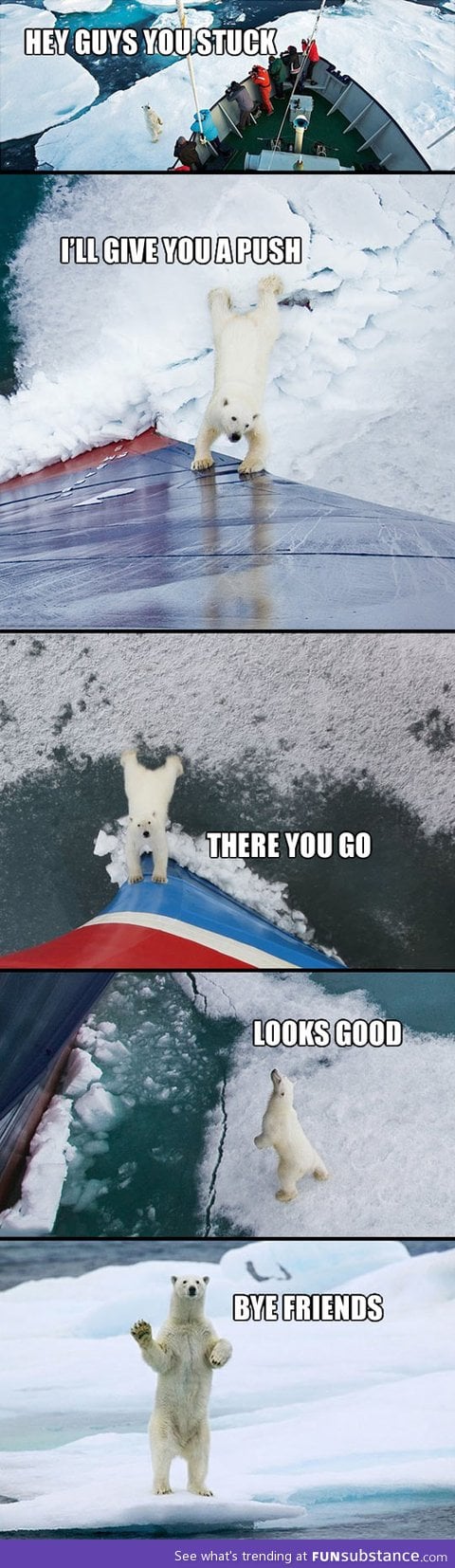 Good guy polar bear