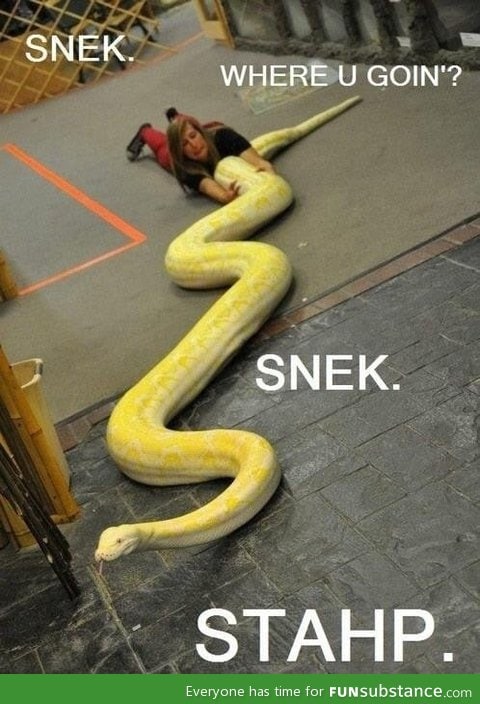 Oh no snek