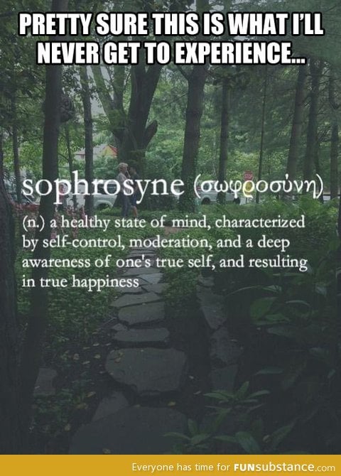 The meaning of sophrosyne