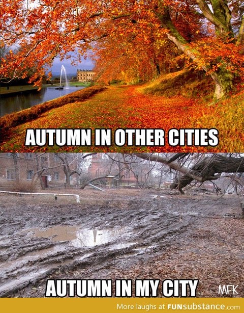 My autumns suck