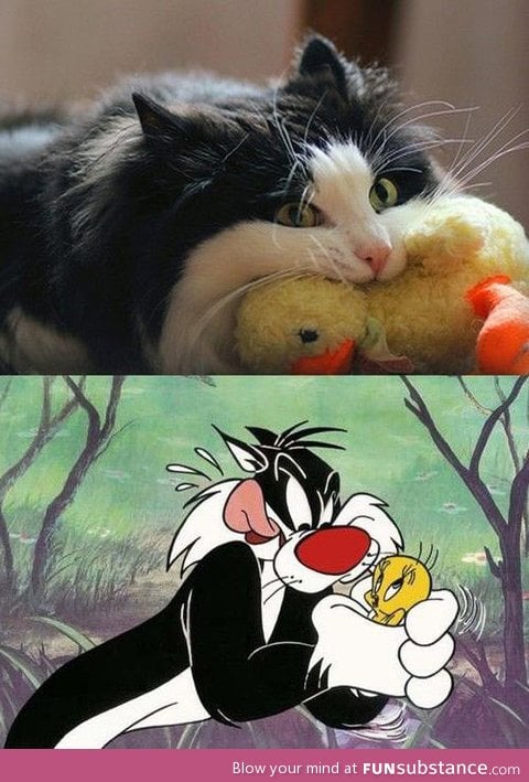 Real life sylvester