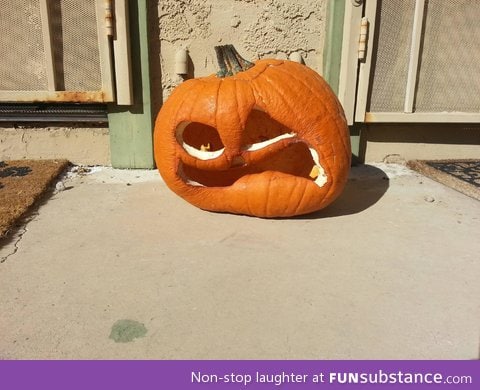 This is what happens when you carve your pumpkins too early in arizona