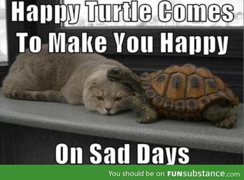 Thanks happy Turtle