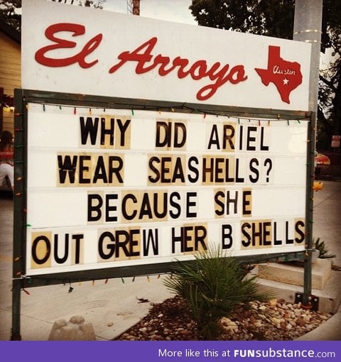 Why did ariel wear seashells?