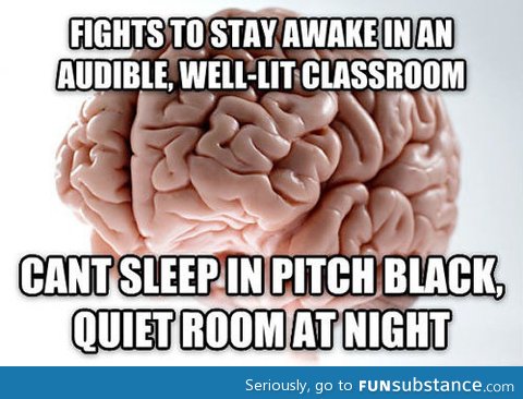 The brain on sleeping