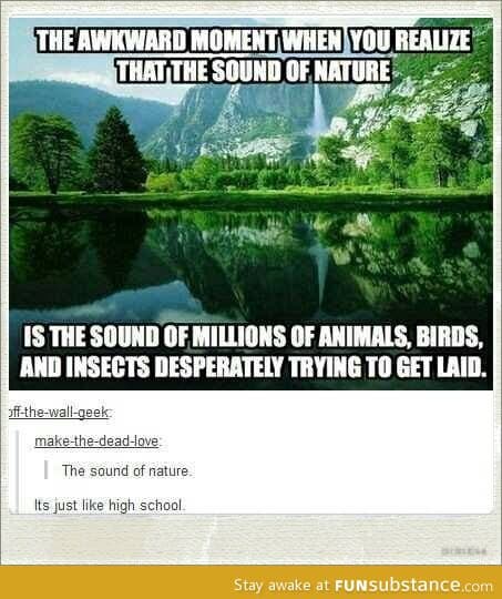 Ahhh nature