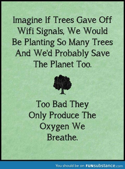 If trees gave off wi-fi