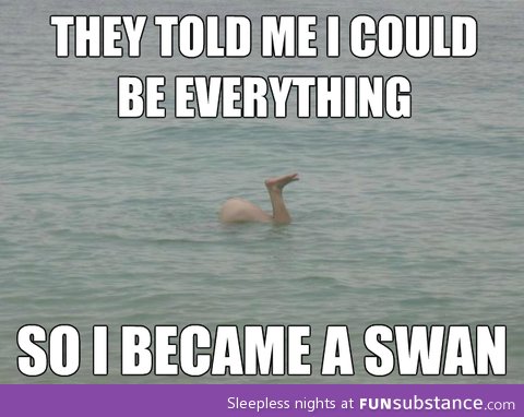 A swan