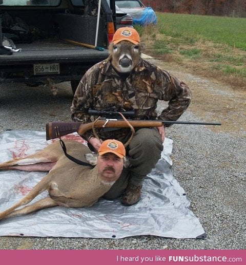 Oh deer, what a faceswap