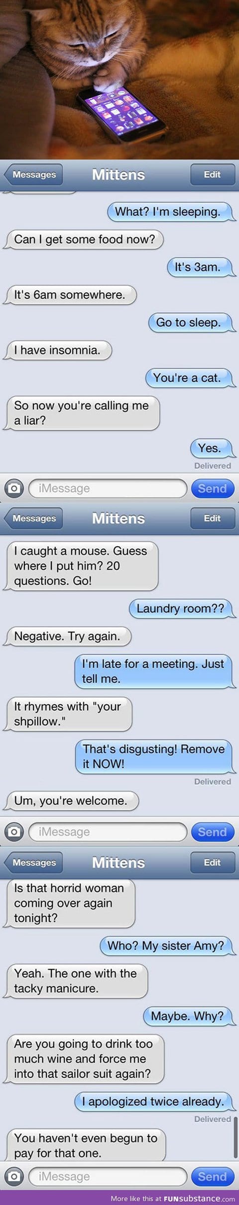 Text messages from a cat