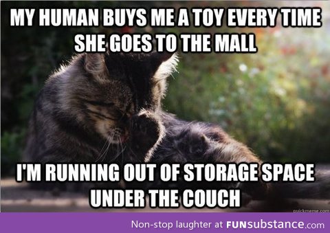 Another first world cat problem