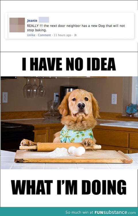 Baking dog