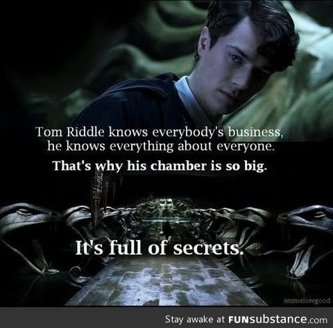 Get it...the Chamber...of SECRETS?