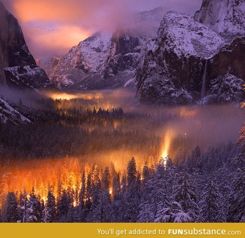Yosemite valley mist illuminated by car headlights at nightfall