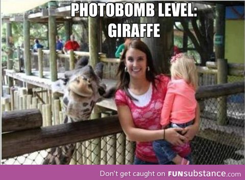Photobomb level: Giraffe