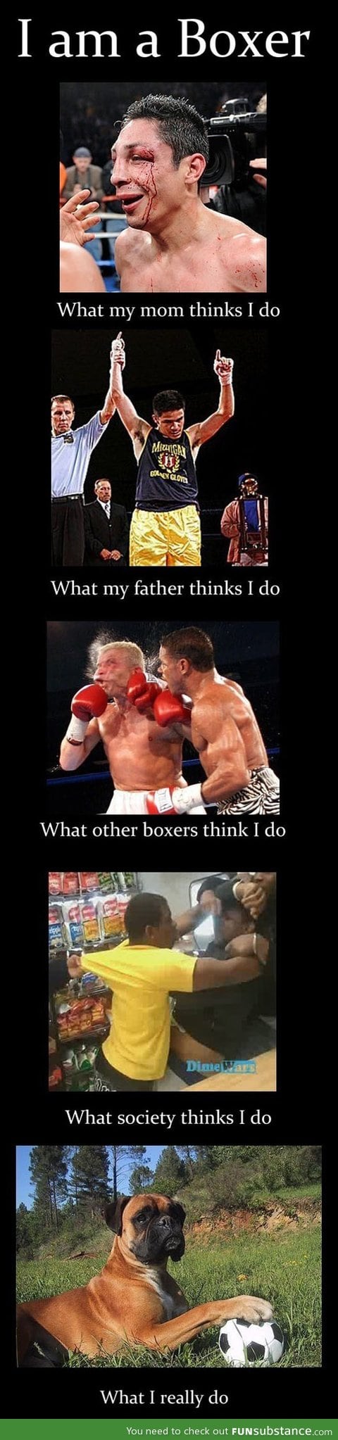 I'm a boxer