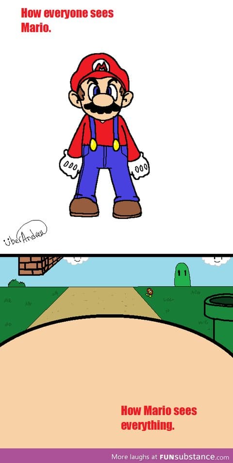 How everyone sees Mario