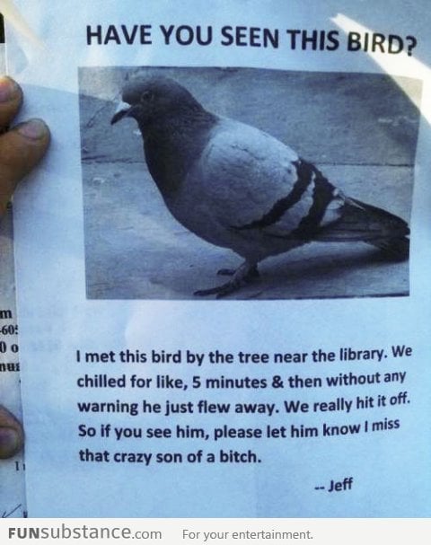 Have you seen the bird?