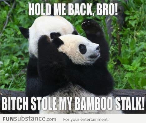 Hold me back, bro!