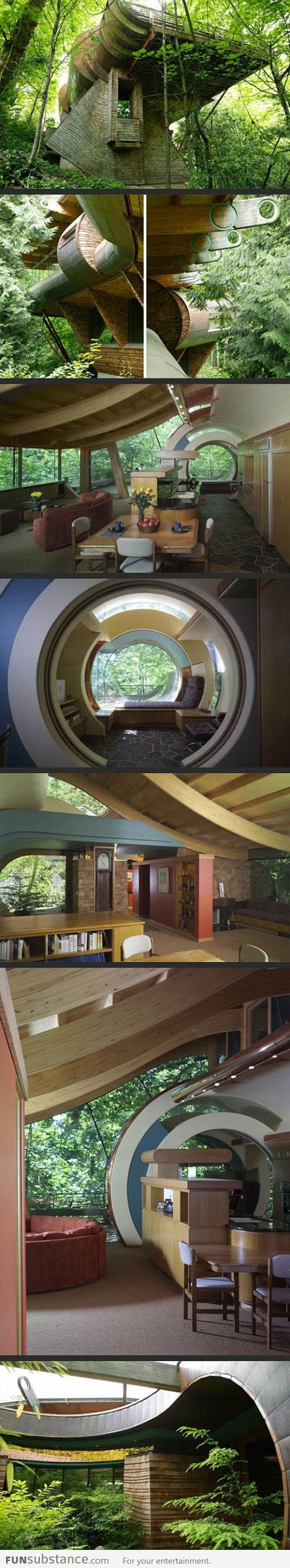 Secret house in the woods